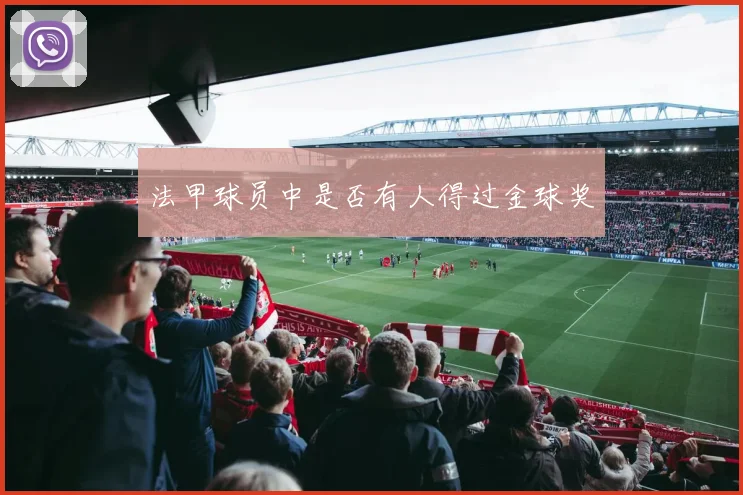 法甲球员中是否有人得过金球奖