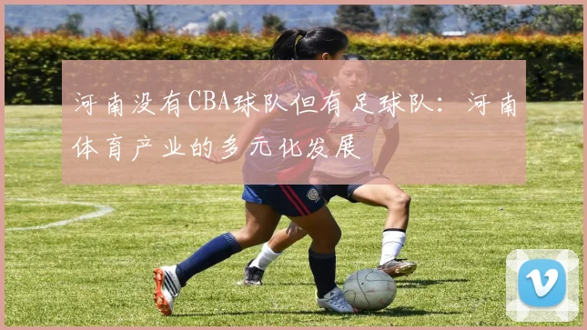河南没有CBA球队但有足球队：河南体育产业的多元化发展